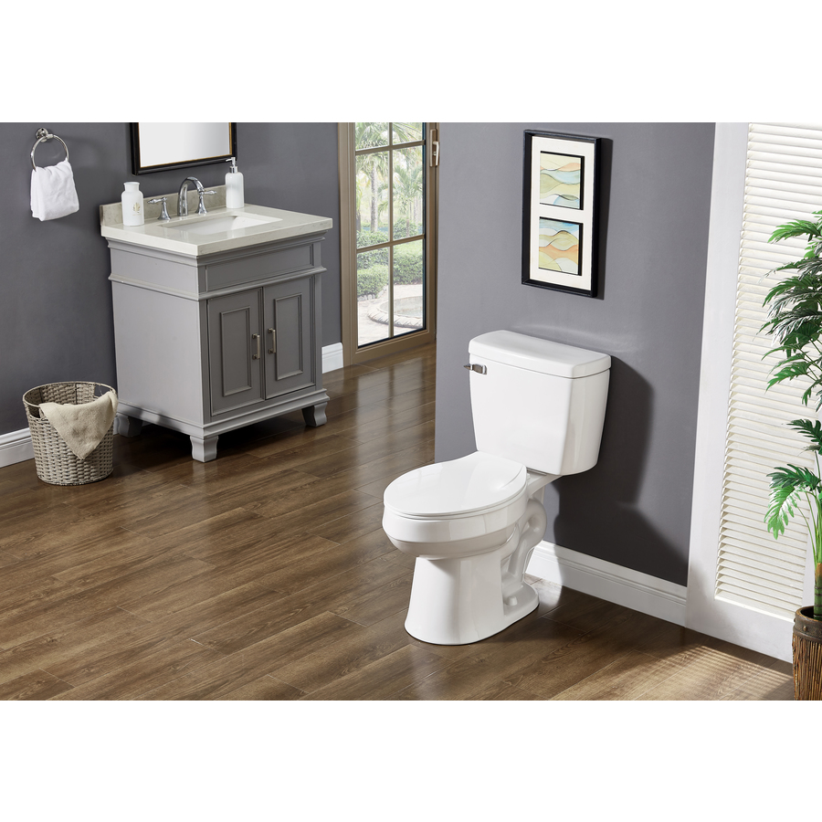 Toilette Allongée 2 Morceaux Pro-Flush Par Project Source Chasse Simple De 4,6 L, Blanc MT-802PRO - Rona