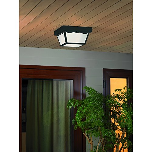 Project Source 2-Light 10.37-in Black Indoor/Outdoor Flush Mount Light