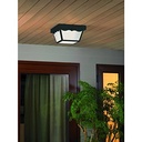 Project Source 2-Light 10.37-in Black Indoor/Outdoor Flush Mount Light